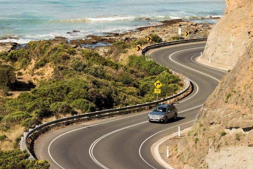 Our tour take you along the famous Great Ocean Road