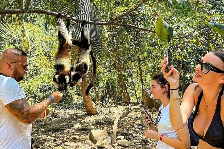 Tailor-made Madagascar Private Family Tour for Baobabs & Lemurs
