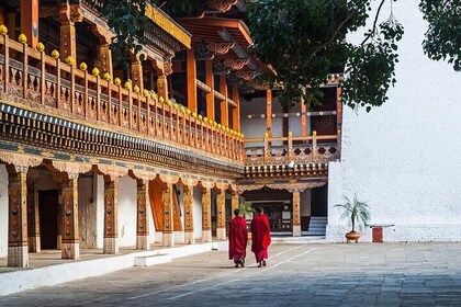 10-Day Bhutan Culture Tour to Paro, Thimphu, Punakha, Gangtey, Trongsa, Bum...