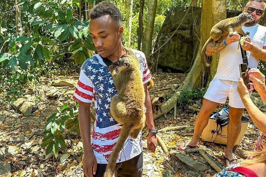 Tailor-made Madagascar Private Family Tour for Baobabs & Lemurs