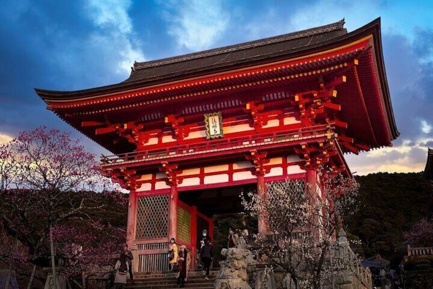 8-Day Japan Tour by Car and Train: Tokyo, Mt. Fuji, Hakone, Kyoto, Nara, Osaka