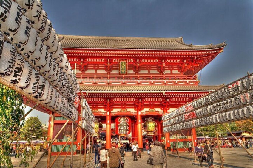 8-Day Japan Tour by Car and Train: Tokyo, Mt. Fuji, Hakone, Kyoto, Nara, Osaka