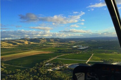 Southern Barossa: 10-Minute Helicopter Flight