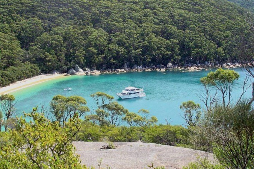 Wilsons Promontory Cruise