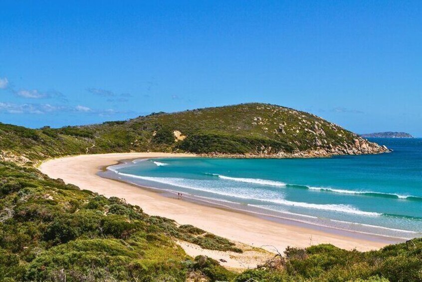 Wilson's Promontory Small Group Eco Tour from Melbourne