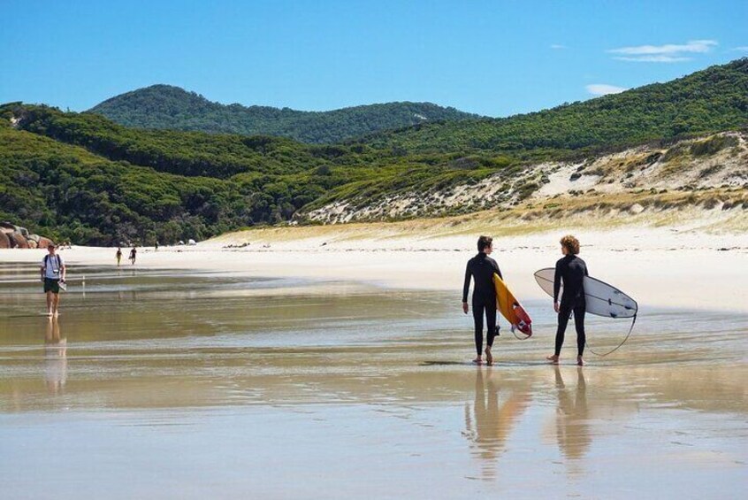 Wilson's Promontory Small Group Eco Tour from Melbourne