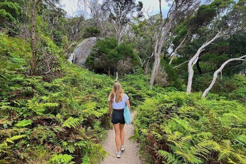 Wilson's Promontory Small Group Eco Tour from Melbourne