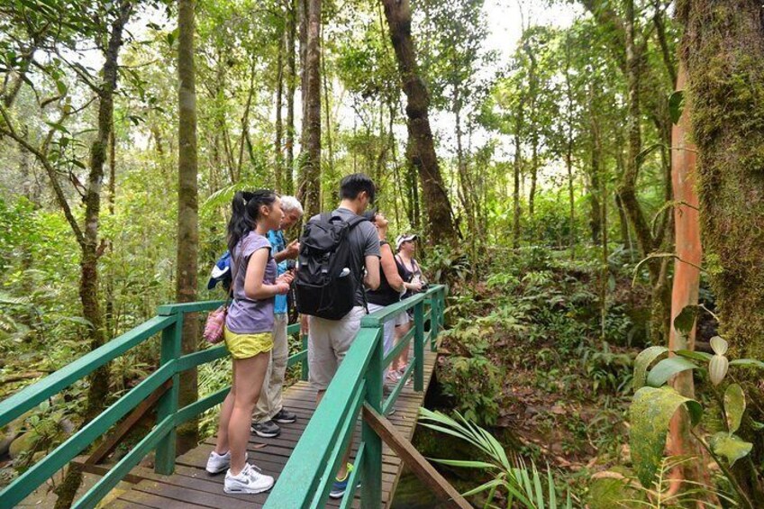 Kinabalu Park