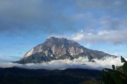 The Kinabalu Park and Poring Hot Spring