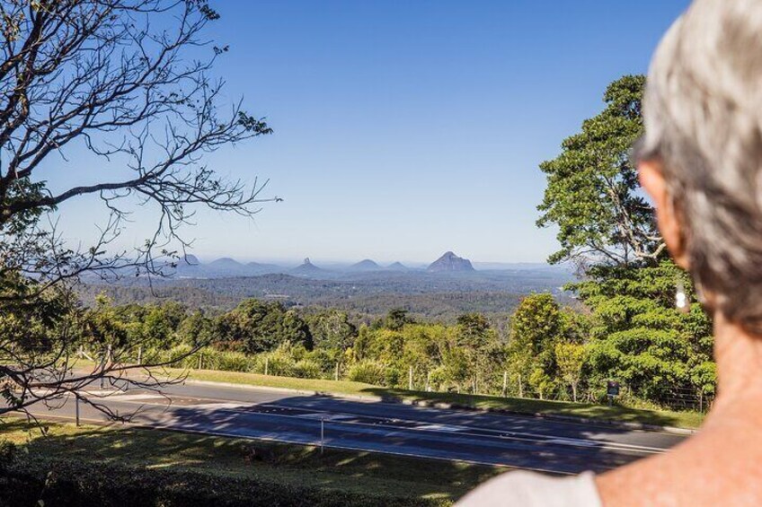 Sunshine Coast Hinterland Scenic Culinary Experience: Montville