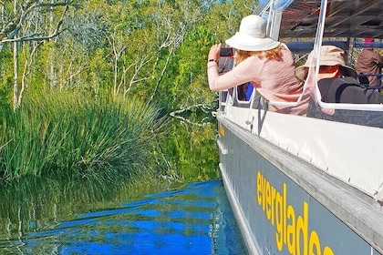 Noosa Everglades Cruise and Highlights Private Tour Inc. Lunch