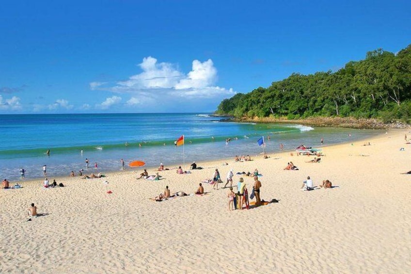 Noosa Main Beach