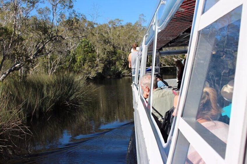 Noosa Everglades