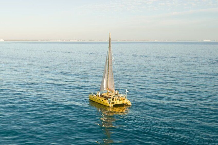 Full Day Sail to Rottnest Island from Fremantle