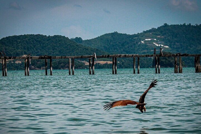 A Mangrove River Cruise on Langkawi