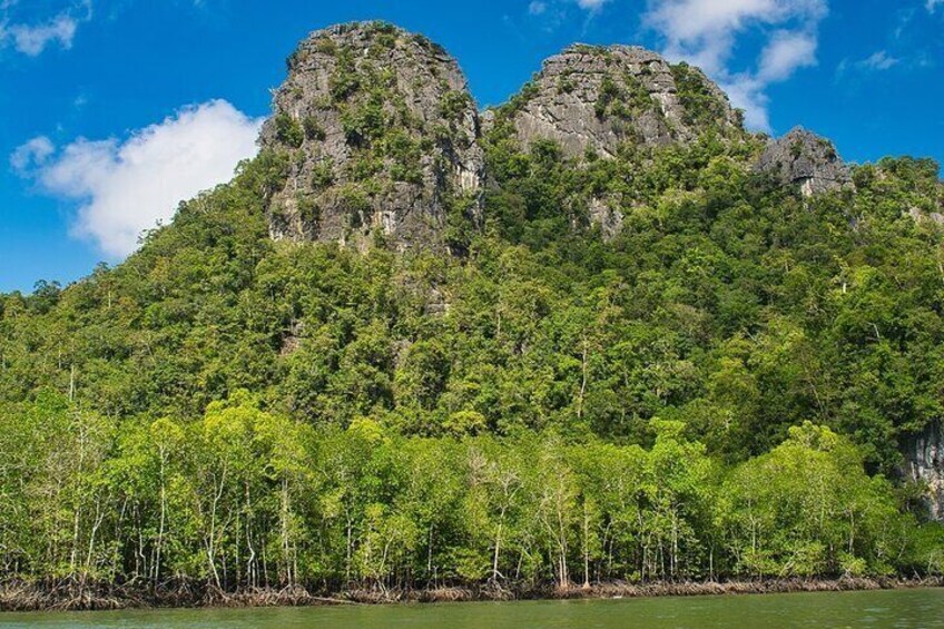 A Mangrove River Cruise on Langkawi