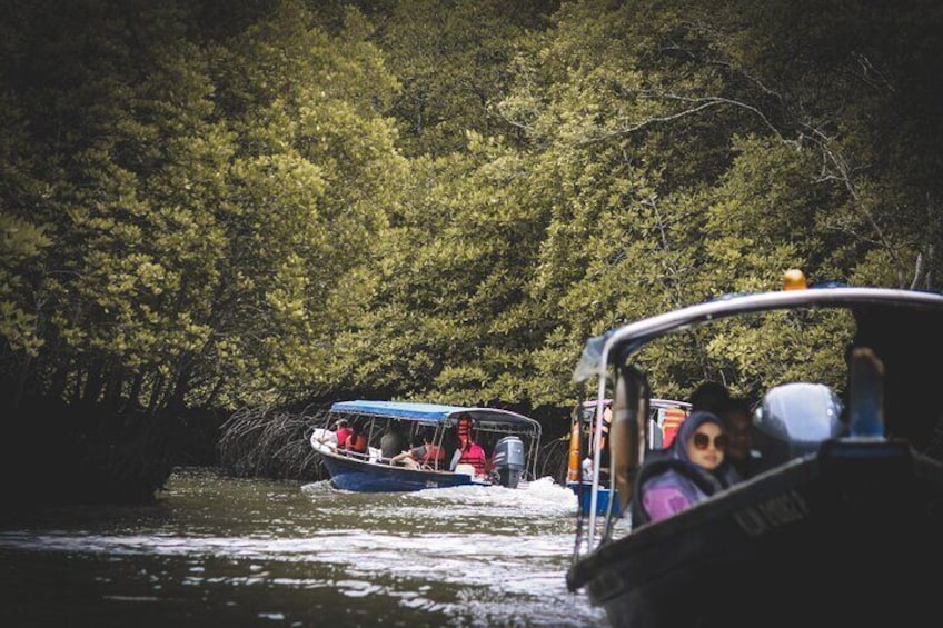 A Mangrove River Cruise on Langkawi