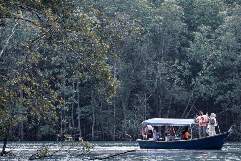 A Mangrove River Cruise on Langkawi