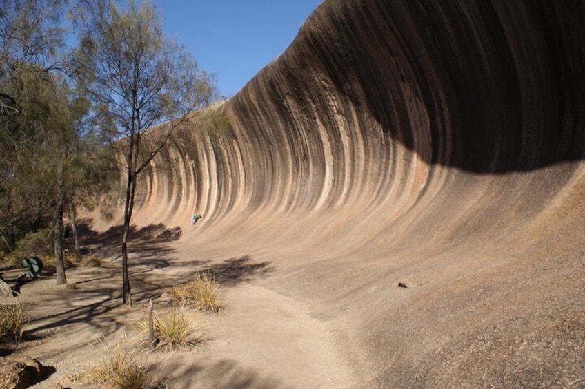 Wave Rock Half Day Air & Ground Tour