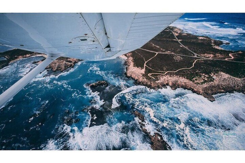 Fly to Rottnest Island by Plane