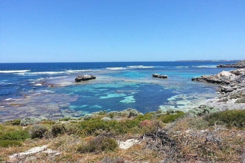 Wave Rock & Rottnest Island - Air & Ground Tour