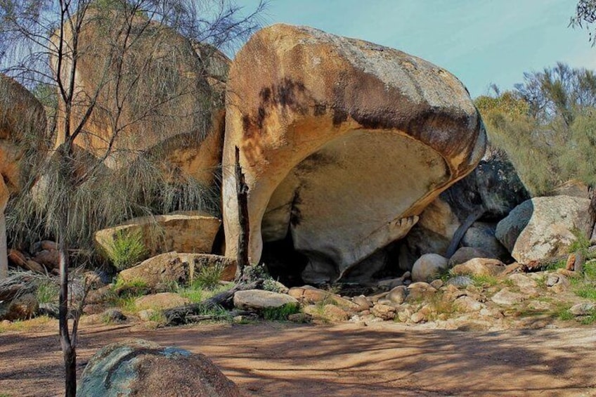 Wave Rock & Rottnest Island - Air & Ground Tour