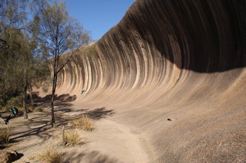 Wave Rock and Pinnacles Air & Ground Tour