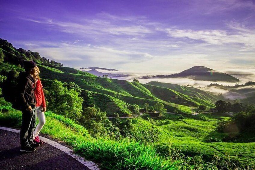 Cameron Highlands