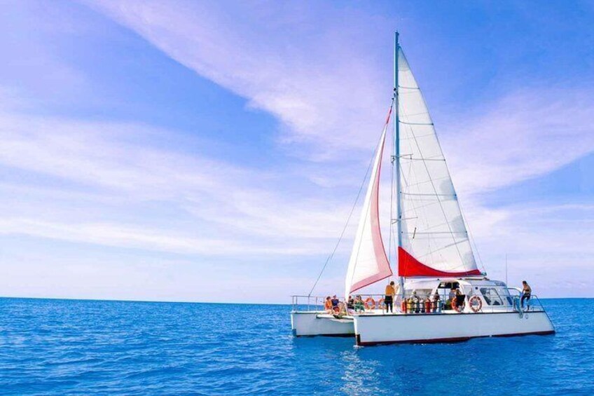 Full-Day Great Barrier Reef Sailing Trip