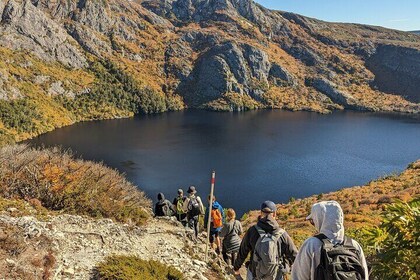 6-Day Tasmanian Explorer Adventure Tour from Hobart