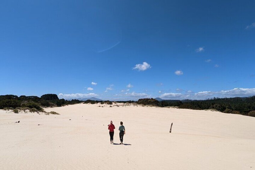 Henty Sand Dunes