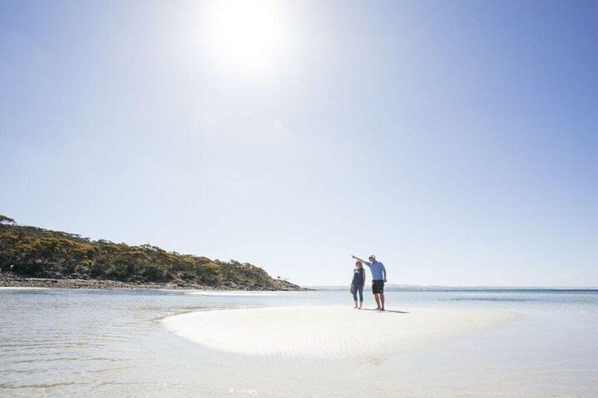 Exceptional Port Lincoln, Seafood and Wildlife Tour