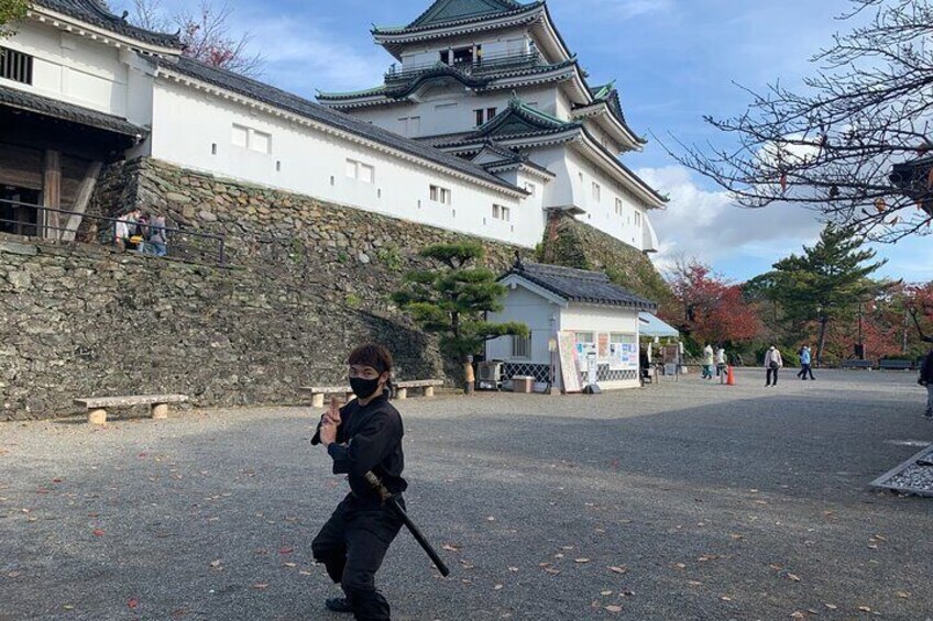 NInja at Wakayama castle