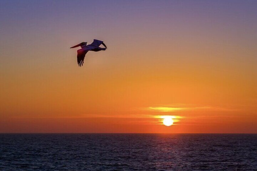 Sunset Cruise Hervey Bay