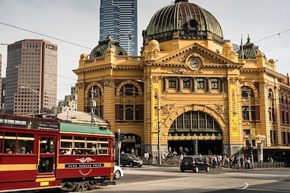 Essential Melbourne Sightseeing Tour