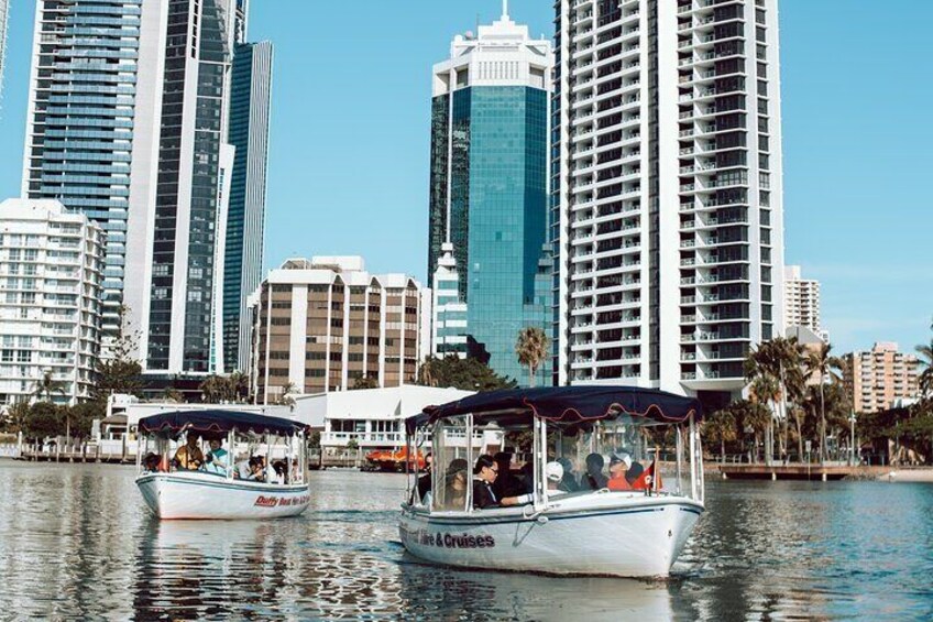 Gold Coast view from Surfers Paradise