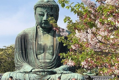 歴史的な鎌倉：寺院、神社、屋台のプライベートウォーキングツアー