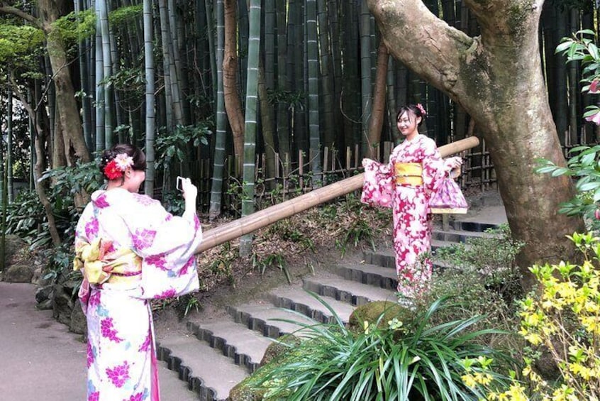 Historic Kamakura: Temples, Shrines and Street Food Private Walking Tour