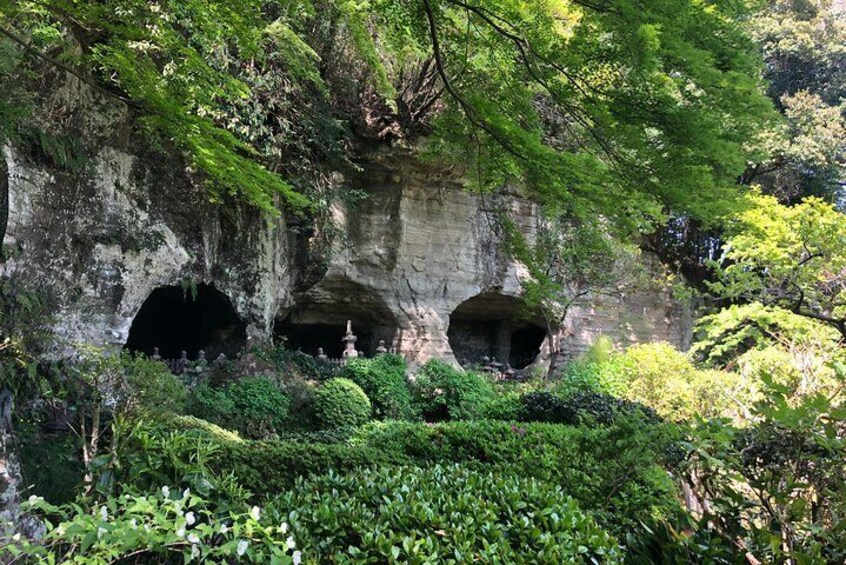 Historic Kamakura: Temples, Shrines and Street Food Private Walking Tour