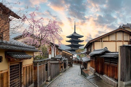 Kyoto Full-Day Private Tour (Osaka departure) with Government-Licensed Guid...