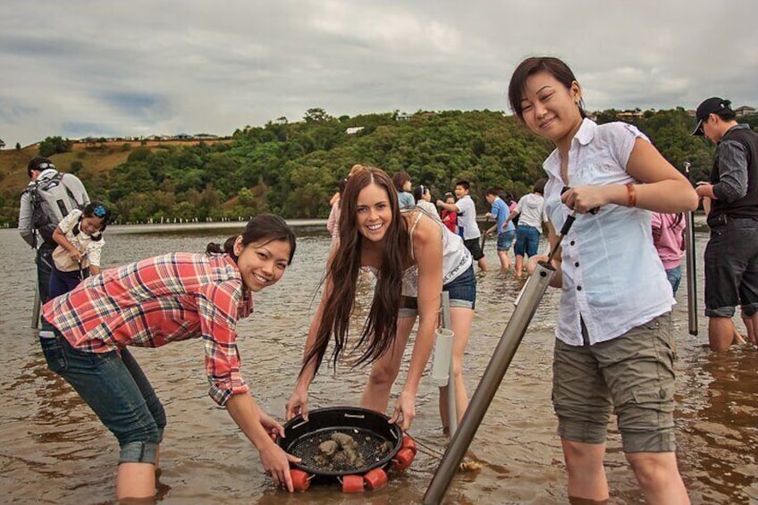 Catch a Crab Tour with Optional Seafood Lunch