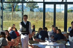 Yarra Valley Private Tour