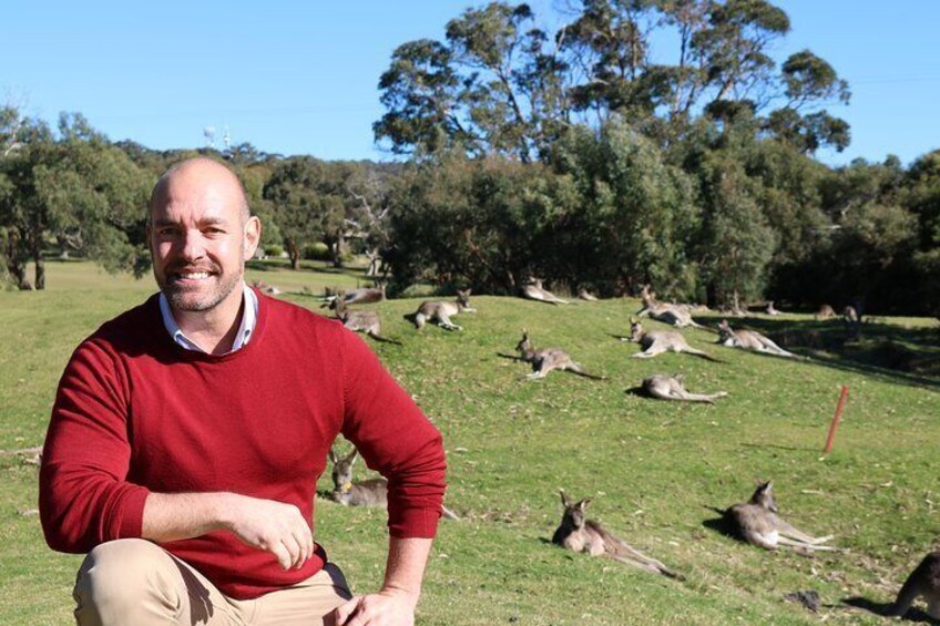 Great Ocean Road Private Tour