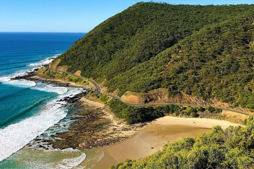 Great Ocean Road Private Tour