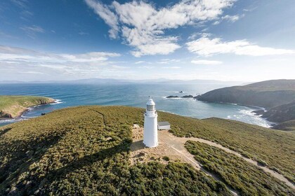 Cape Bruny Lighthouse Tour - Bruny Island