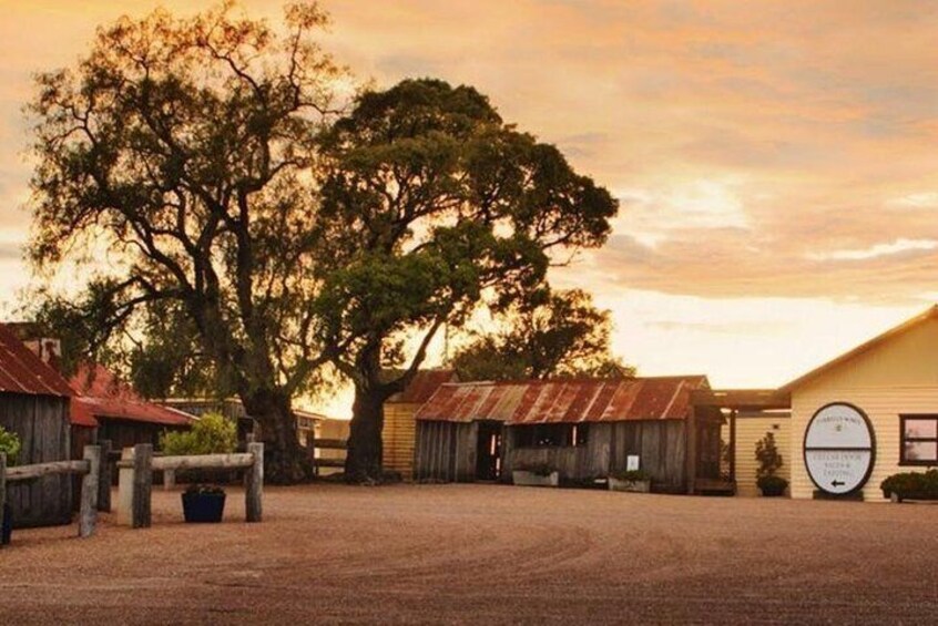 Hunter Valley Wine Tours | Wine Tasting Tours from Sydney OR Hunter Valley