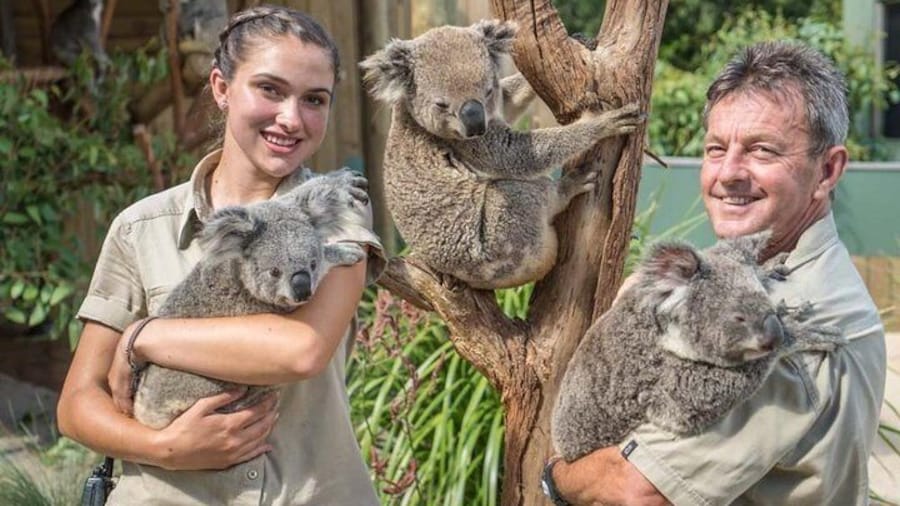 Symbio wildlife park