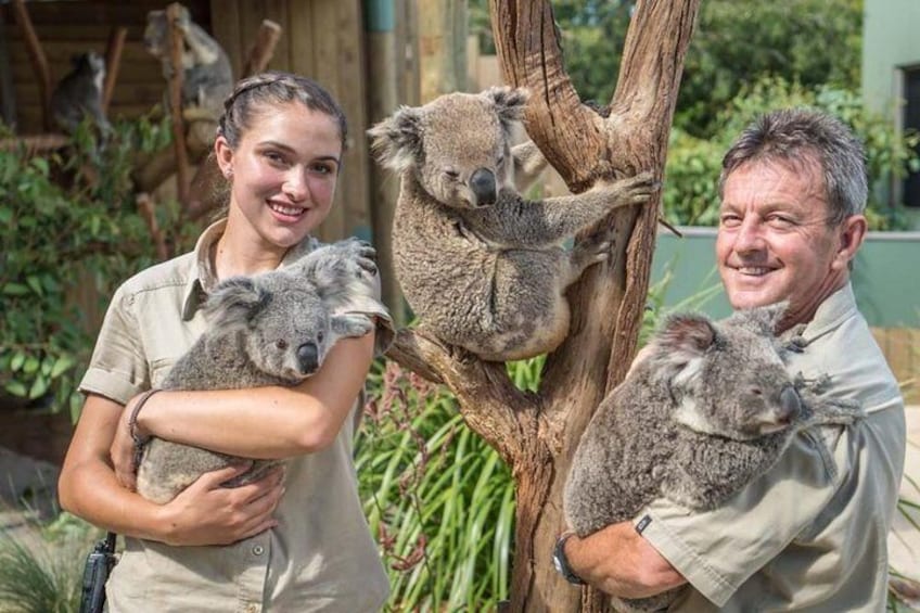 Symbio wildlife park