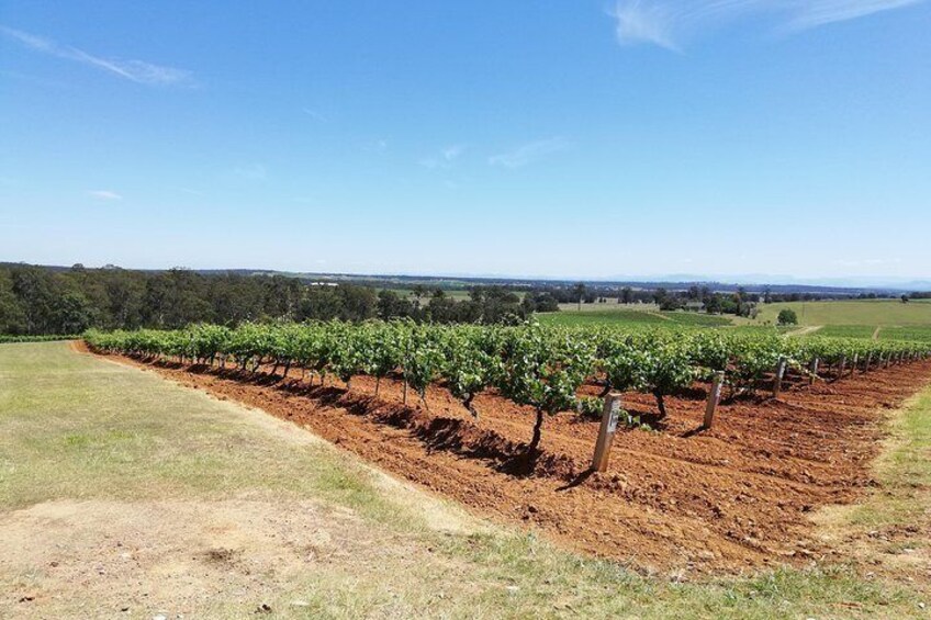 Hunter valley