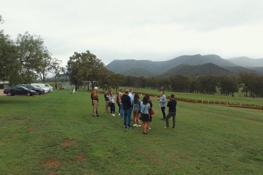 Hunter valley private guided tours 